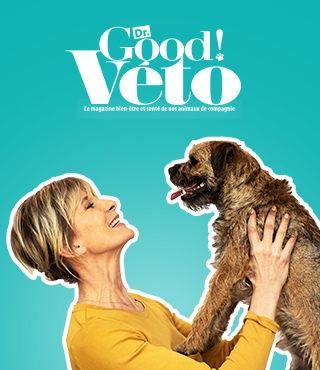 Header DrGood Veto